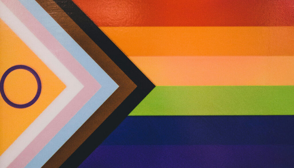 The 2SLGBTQIA+ flag
